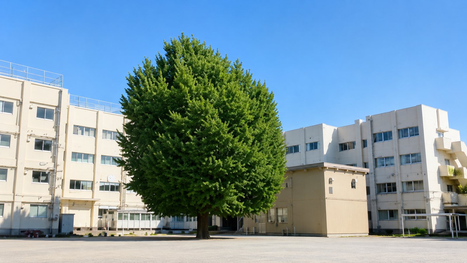 塚田小学校